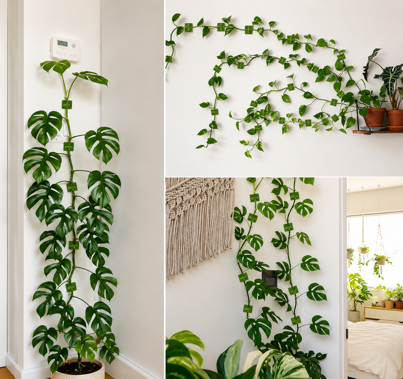 Plant Support Clips
