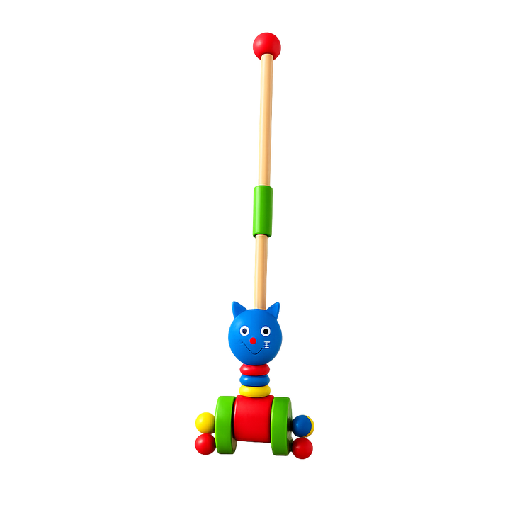 Wooden Push Toy