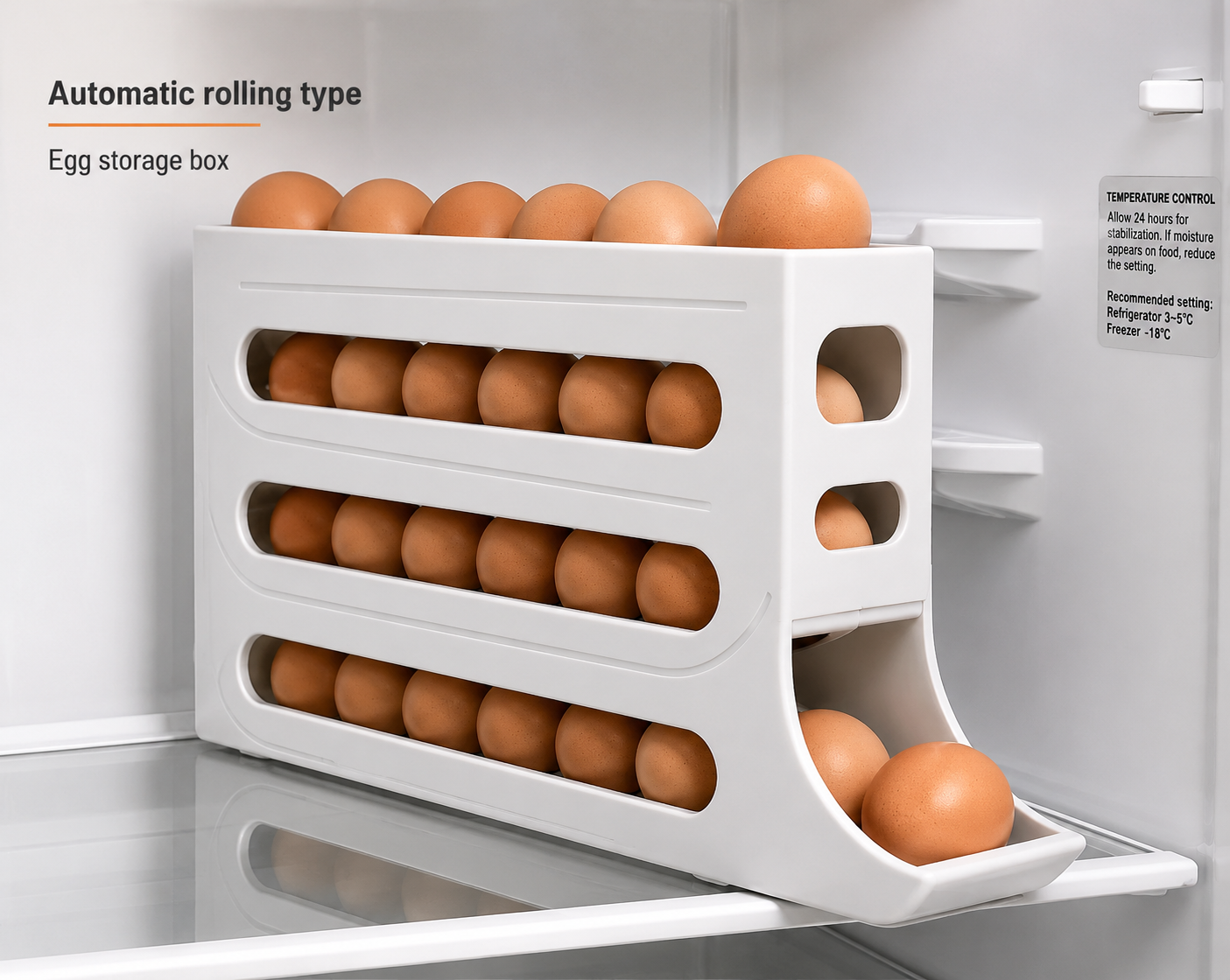 Egg Storage Box